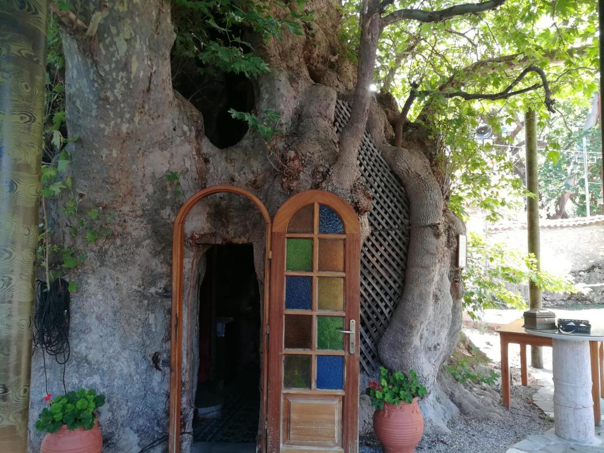 Villa Plataniotissa Mansion à Kalavryta Extérieur photo